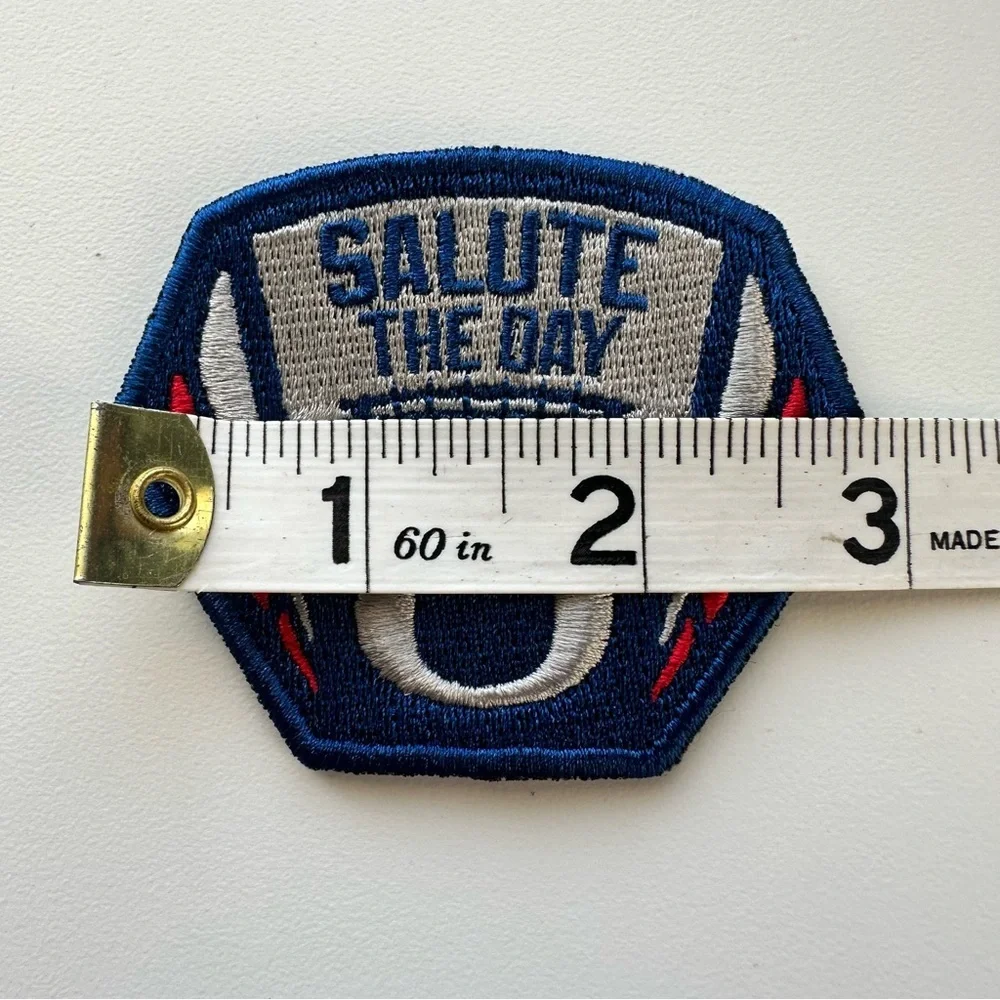 Oregon Ducks Football Salute The Day Military Authentic Hat Patch Blue Gray Red - Picture 8 of 9